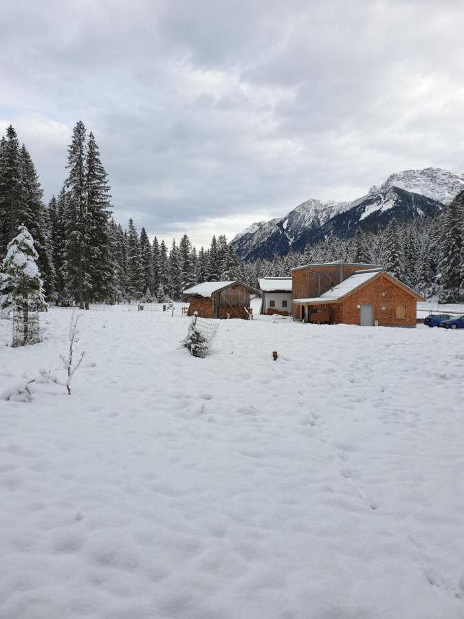 Ammerwald Alm Plansee Exterior foto