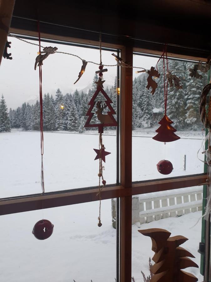 Ammerwald Alm Plansee Exterior foto